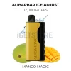 Alibarbar ice adjust 12000 puffs mango magic