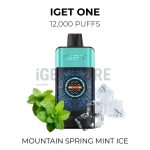 IGET ONE Mountain Spring Mint Ice 12000 puffs