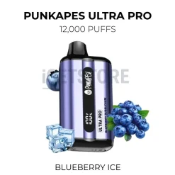 Punkapes ultra pro 12000 puffs blueberry ice
