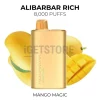 Alibarbar rich 8000 puffs mango magic