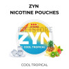 Zyn nicotine pouches cool tropical