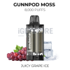 Gunnpod moss 8000 juicy grape ice