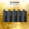 5 PCS ZLOADR V9000 Puffs