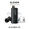 ZLOADR Blackbery ice V9000 Puffs